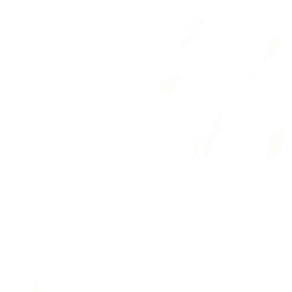 Meet your Posher, Joseph - Picture 1 of 1